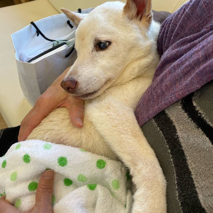 212038a0 169c 4f45 b509 58eb2ce0b608 1668493461806