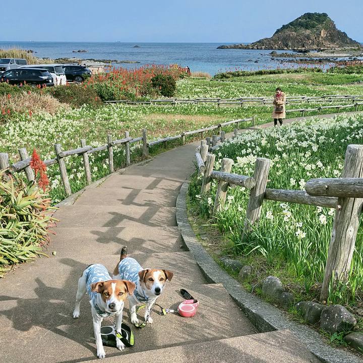 21203d38 76df 41b3 851b cc0f9785834d 1768463984477