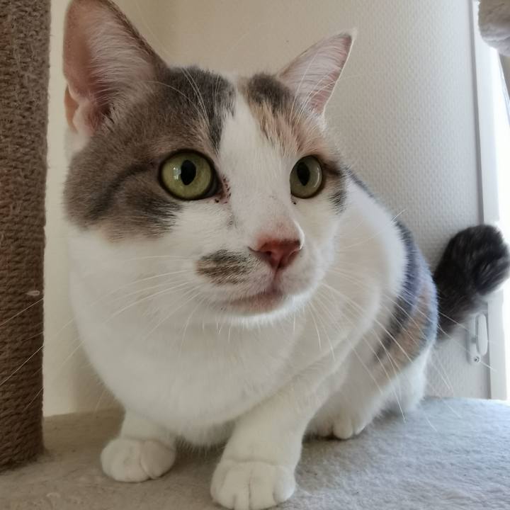 21205265 e376 471e 9738 38be552ddd9d 1645941516266