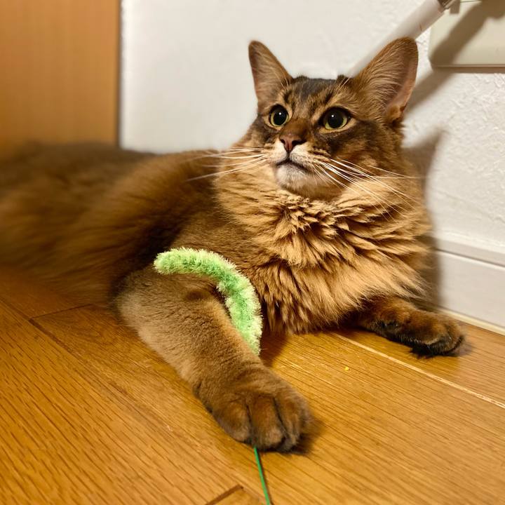 21208410 e6e5 425e ae10 115f44e0fb48 1649932815800