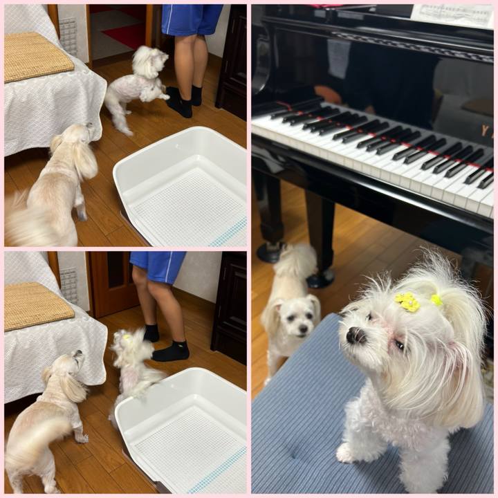 2120d4a8 41ad 44a4 aba2 0d1794607b2e 1758790656049