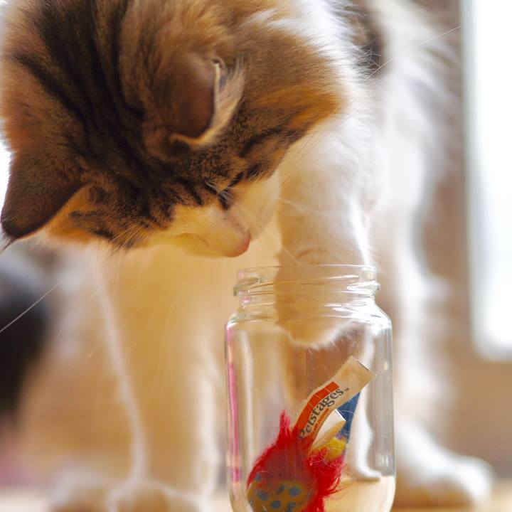 2120e607 8eb2 49ef a71b 810212560441 1545452706742