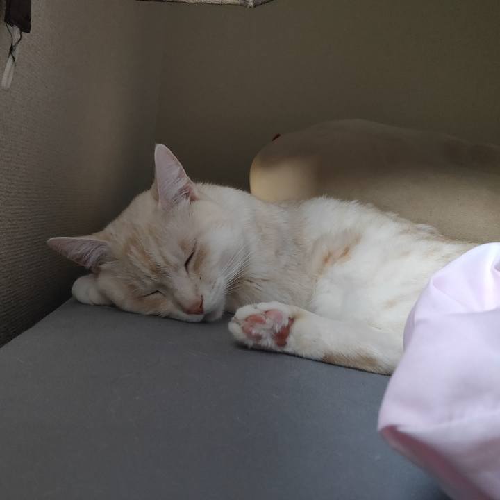 2120edc4 b6f9 4fa3 ad90 9f2869bf7987 1682025435761