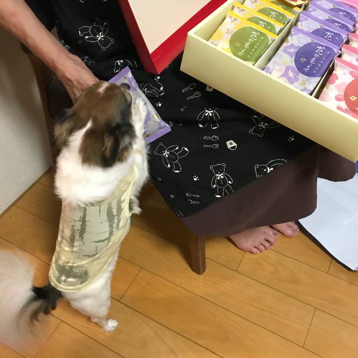 212104b2 69f5 4e90 9d3f 5fe2d1e4ebf3 1535974260011