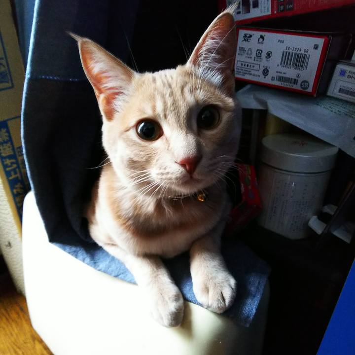 212108ba 5b0c 4726 a2df 52d770b532f6 1550619640651