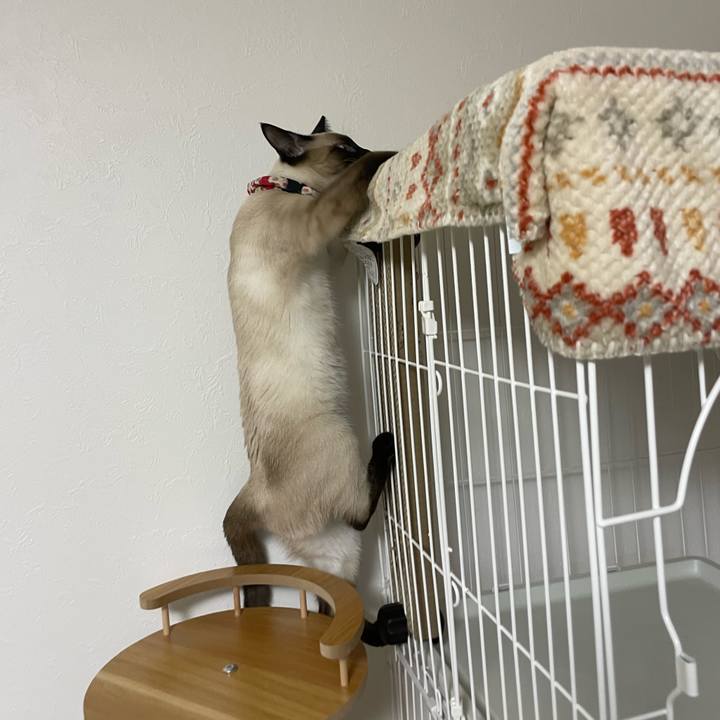 21211002 660c 4e36 a5b0 16c7ebc79677 1706642780727