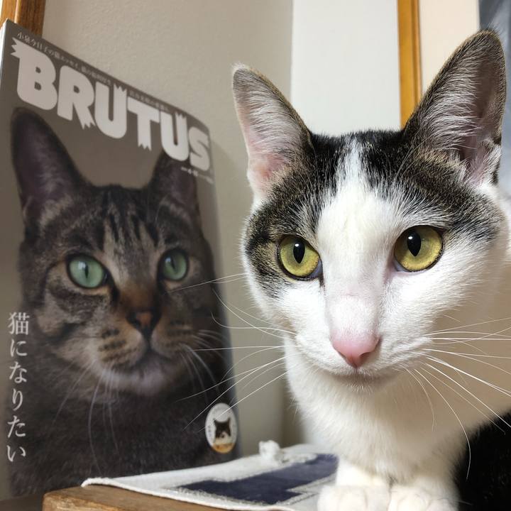 21215ec1 f949 4735 a2e1 5472a4966a8a 1618228330542