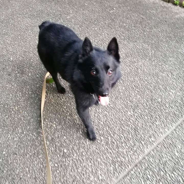 21216d0f a3fb 4e3b bac3 470c3ea5e500 1626123565103