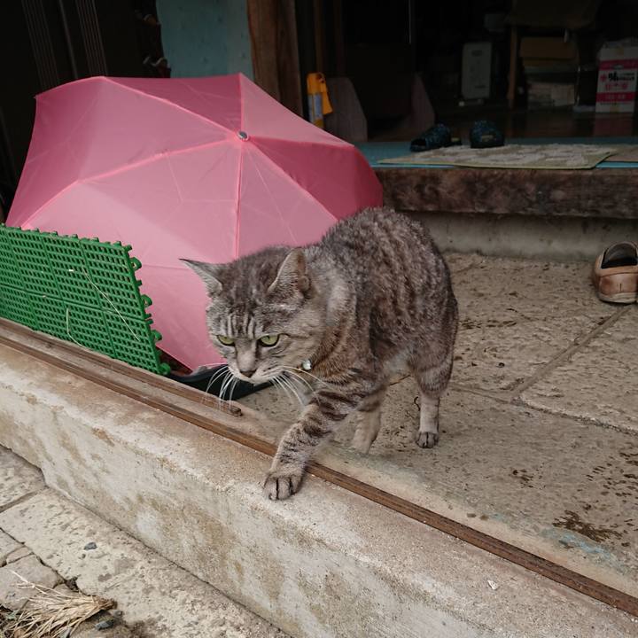 212196c6 20a5 4496 bc1c 3b23f71b3f83 1571025050519