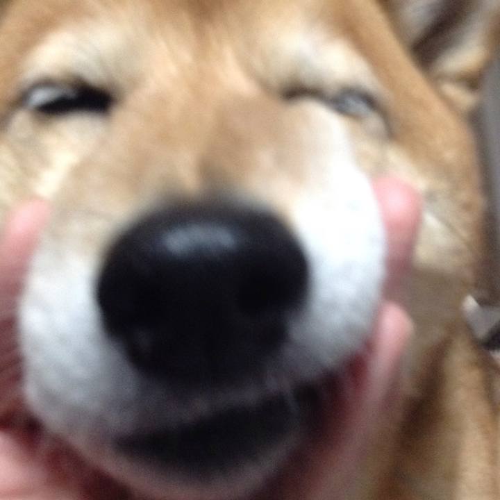 2121c3f6 409e 403d b076 9e1fa7e253df 1523617908305