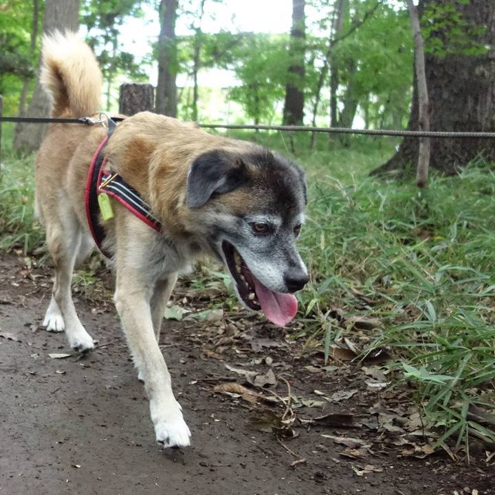 2121c626 947b 4ea2 92ab 196abebfe16e 1536463784885