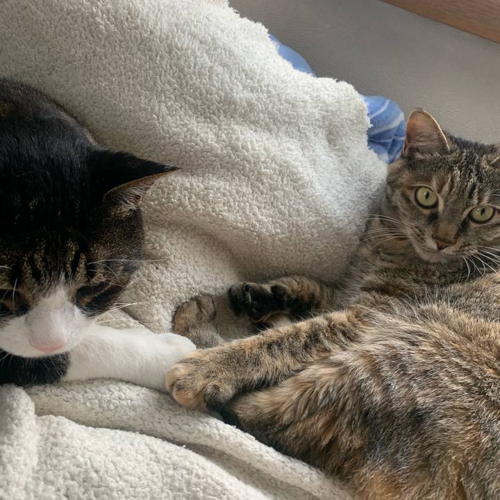 2121cb51 cc2d 42a3 8218 c548bfdce3d5 1654134887465