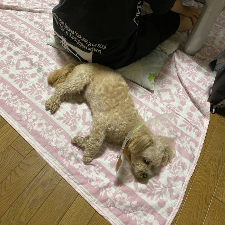 2121da4b dab5 430e 8c7c ec5ad9c07112 1591528130834