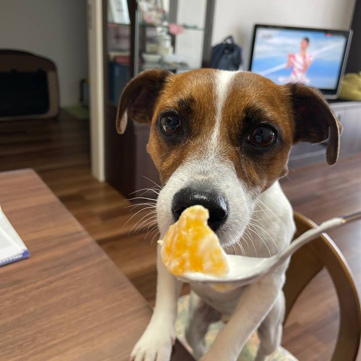 21221a4c f07d 416d bcb6 b879de32e148 1654131561748