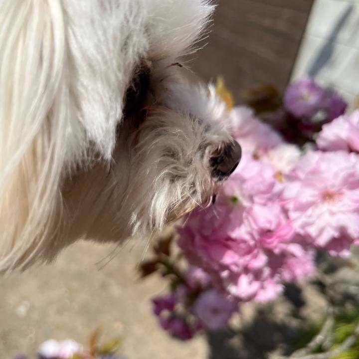 21221b76 fe51 44d2 a768 3c28d599ee63 1681297843972