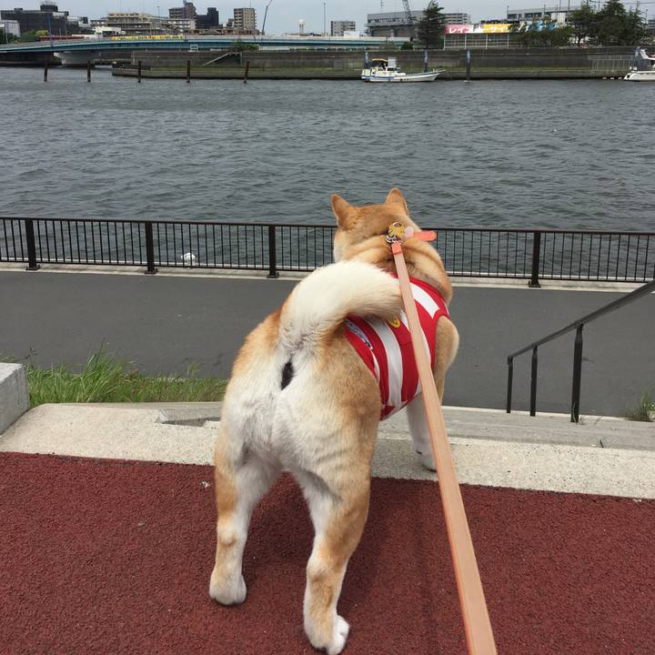 21222eee a86a 49a2 9a41 5c7b3d487cb9 1557439132652