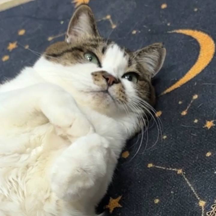 212236c2 5794 447e aed9 e42355216d6a 1765885153439