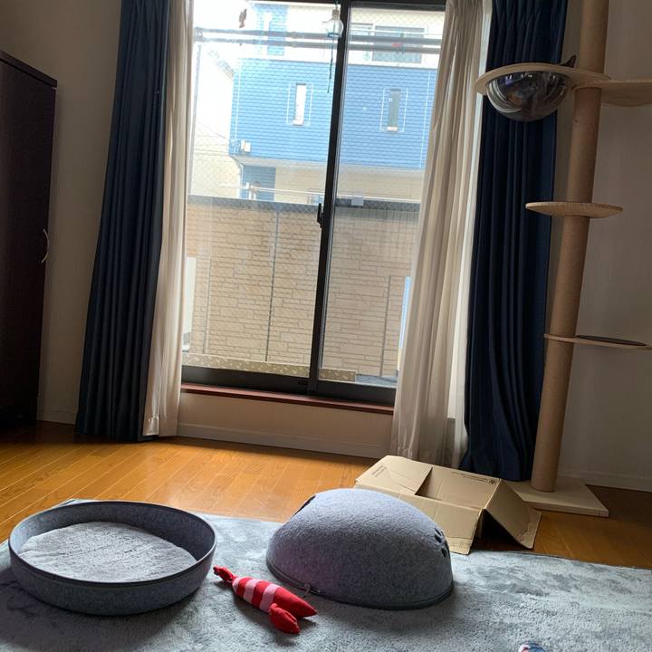 21224744 e4a2 4841 b38f 900db98dc399 1627623208228