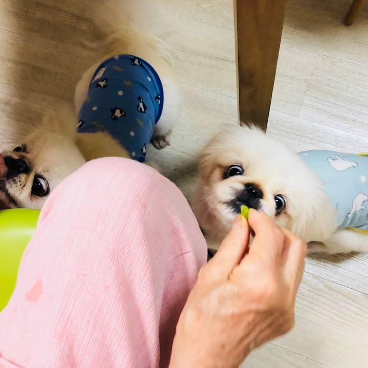 21224f5f 3126 4526 babd 51c1fce49bd5 1597670684098