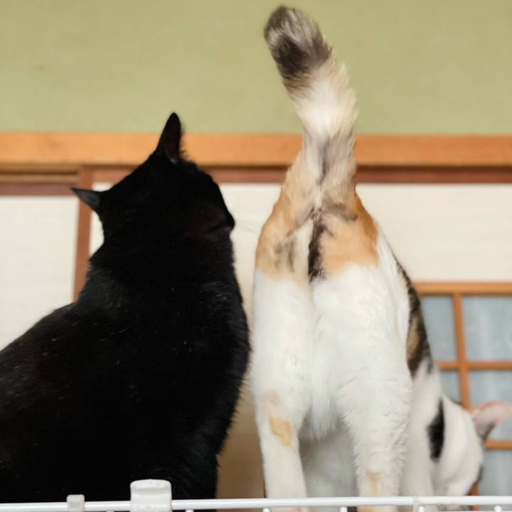 21225a75 cf5f 4057 b6ad 3f9344eb2cd6 1625454045156