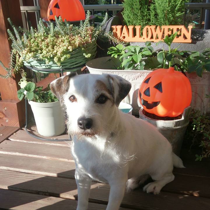 21227c91 5539 4dd4 abf3 88167c096f33 1508281177221