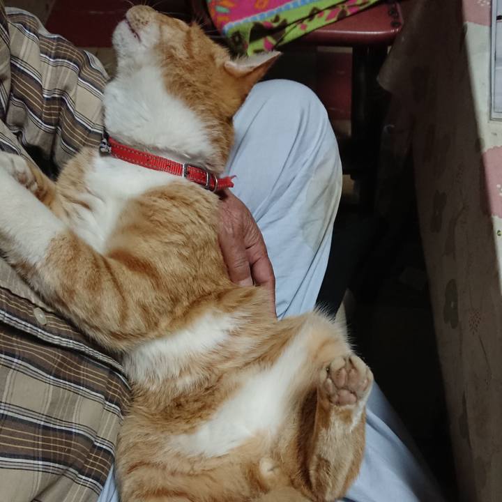 2122a582 485c 4c04 9d43 96bba124af82 1571709599270