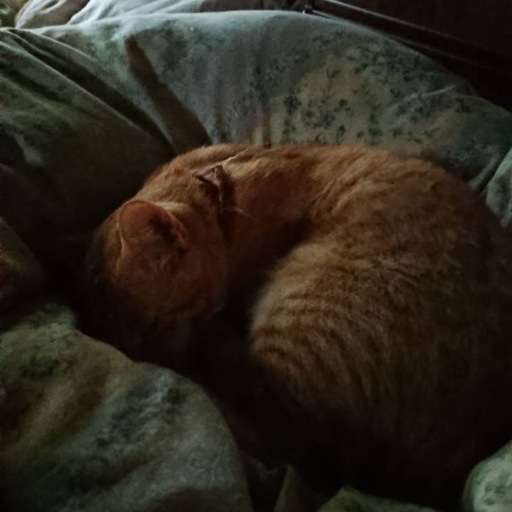 2122c03a 00a1 4ead 98b7 f73438e0a82d 1563393107750