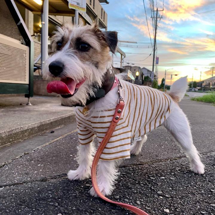 2122cb70 8b0d 470a bbc1 8519ab6b782a 1628163475772