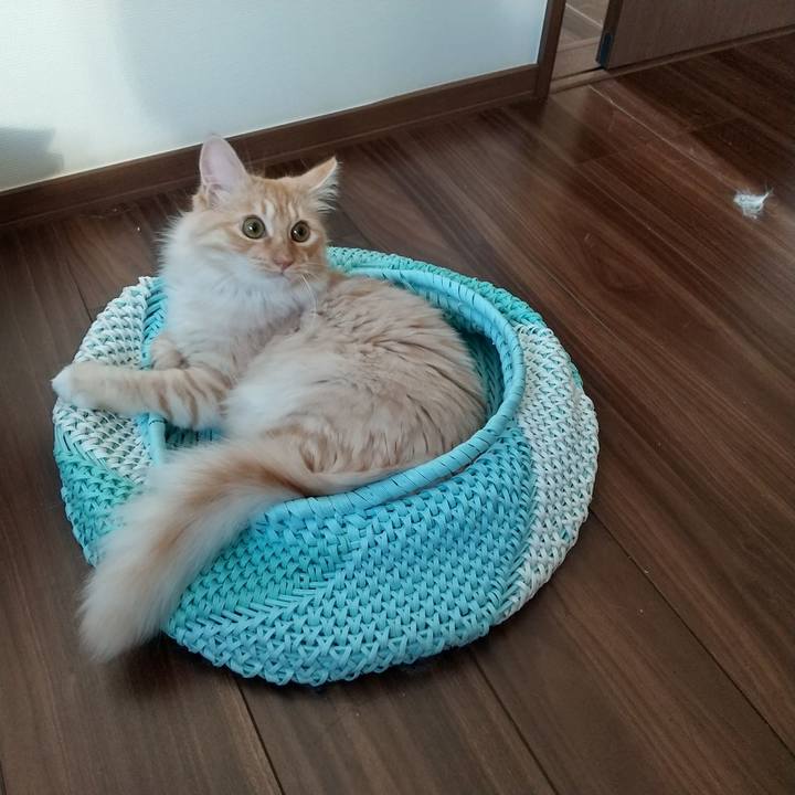 2122d554 4d83 427d be65 052be305b593 1623109312765