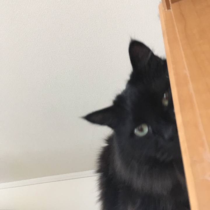 21232ab3 58a8 4b42 8581 94f48c64c33d 1552277015550