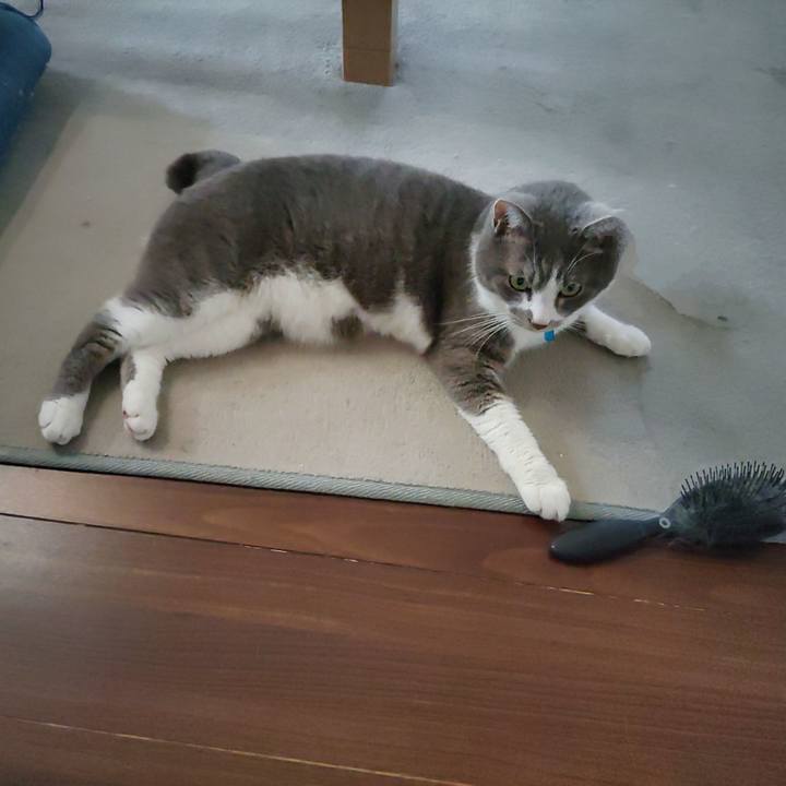 21236bfd ecf9 4543 99b7 1620a33a5566 1722204868994