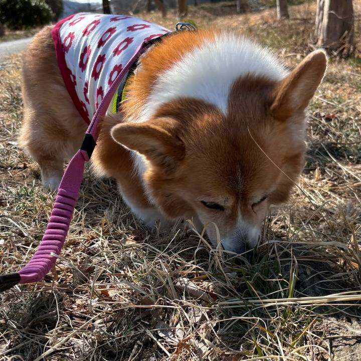 21239171 32d8 4023 8f3d ac9e703a37f0 1740629251192