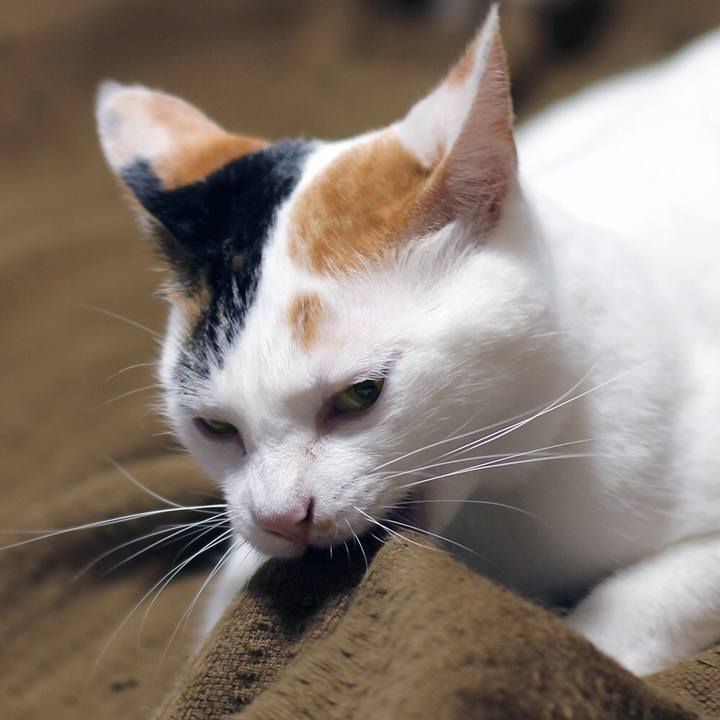 2123afef 073b 478a b83c 127d73df9910 1641601648408