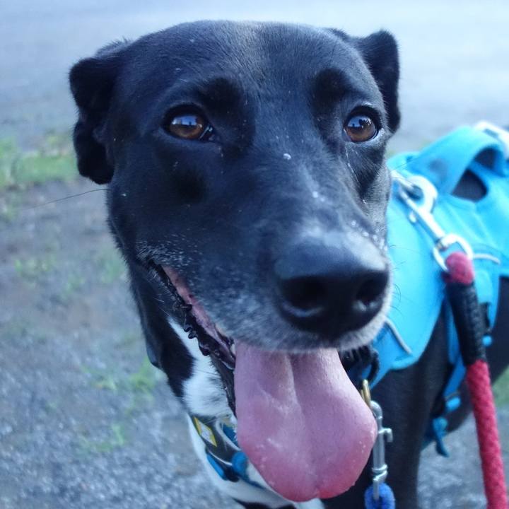 2123c3b6 7c29 4616 975a 2a4e0dd387de 1626605373981