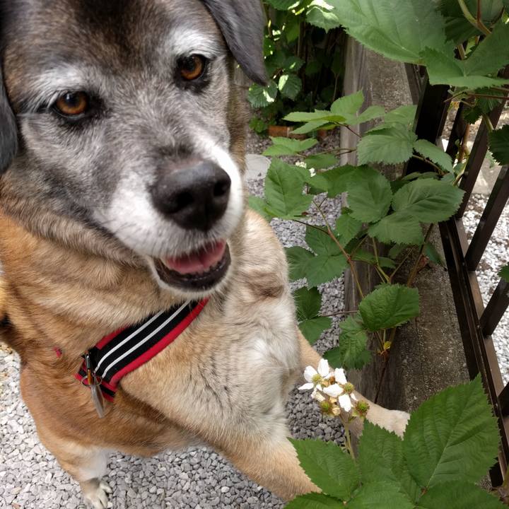 2123e07b 2cb1 440f 9d1d be288b2e5dd9 1727657576386