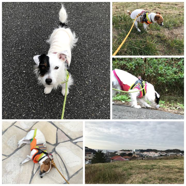 2123f32c 5466 405f 8f13 2f29c6ff2b5a 1511312462492