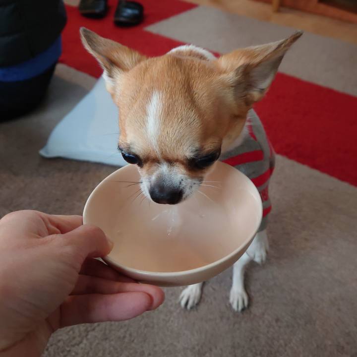 212432a4 262c 40c5 b764 6bb5a25c18e2 1643542243527