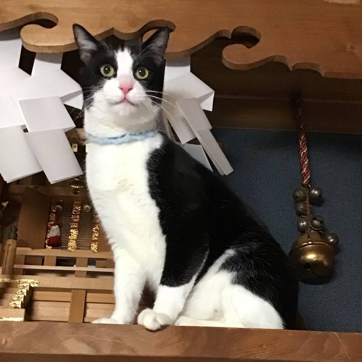 21244ec2 7a11 470a a965 6aa5c23b0236 1738146117907