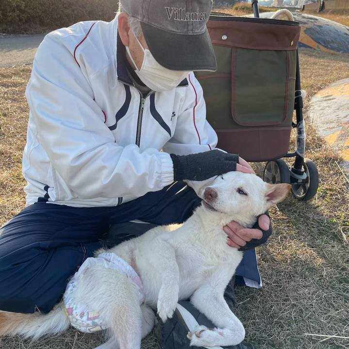 21245985 80ae 401d bbf7 d36cb2dfabb8 1676373675537