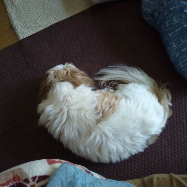 2124650e 845e 4063 9d63 1ada66181da2 1654233538780