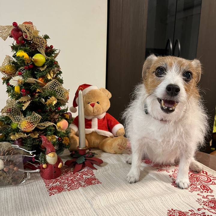 2124826b 1e40 4e45 be00 4ba49254c453 1730953522209