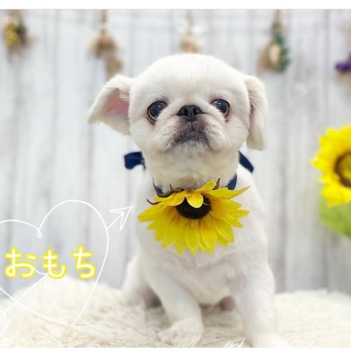 2124a0e7 8cc1 4d4c b4d5 ae73e002b460 1659347733669