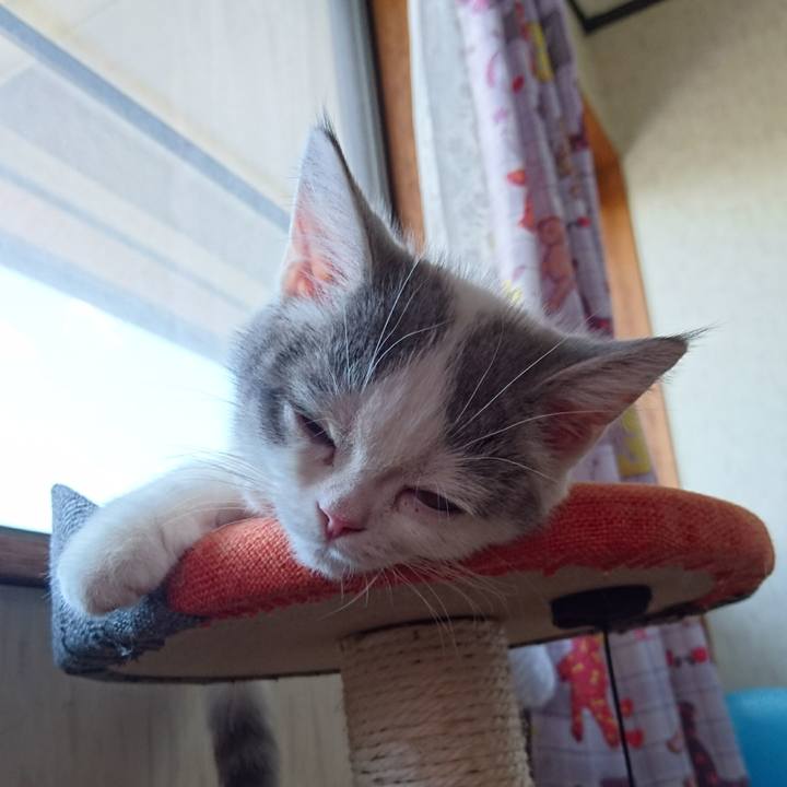 2124c7f5 1a1e 4e0c 9247 f1e98a566fc4 1528851452229