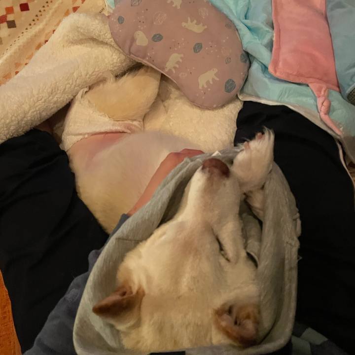 2124e8bf 201f 4280 8daf 26d49d44cb8e 1670680859887