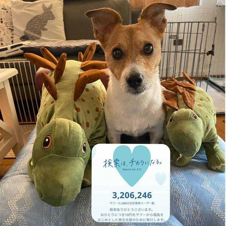 212507cd 5c66 4d35 9e85 94550011725b 1646963558700