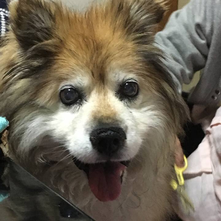 212535c8 5e01 4b2d 942c ca0cde5c60cd 1556620695790