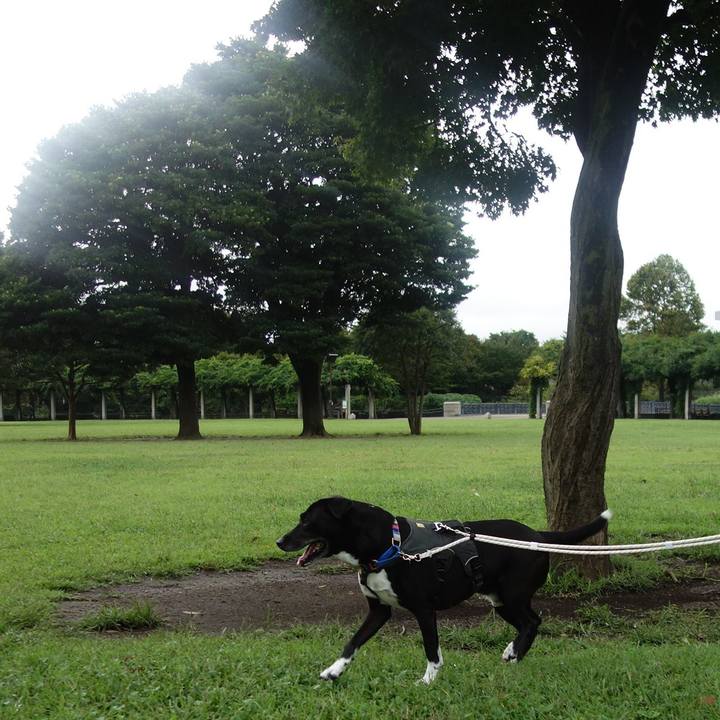 21255cde e4bc 4d7a aa3a ba98c261595d 1663717882410