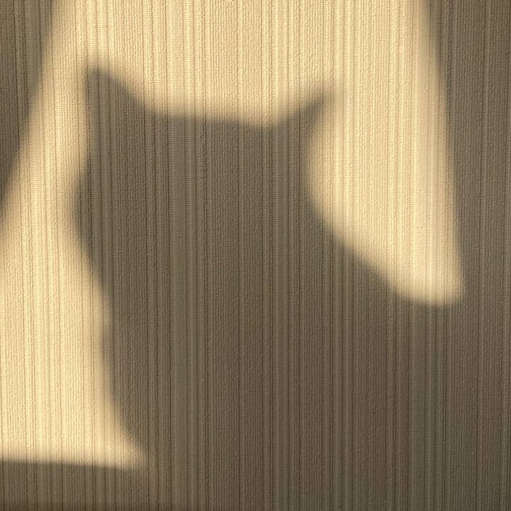 21256054 b0e4 464b 94e9 32df7265e868 1649291288822