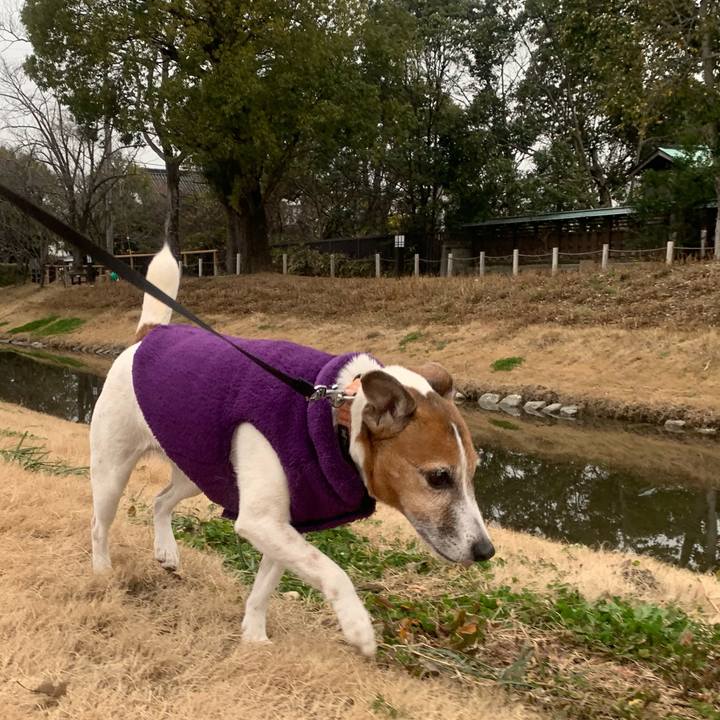 2125aa4f 5d7a 4010 bd50 31998c374aae 1549671682549