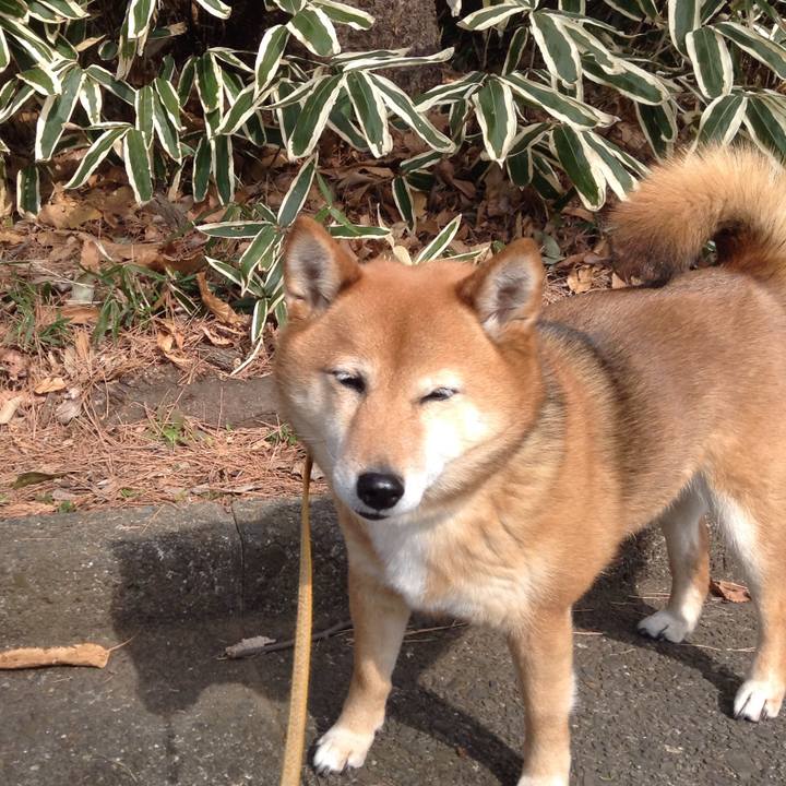 2125ccd5 51ba 44fc 98e4 80e1f3b2cb63 1519799130854